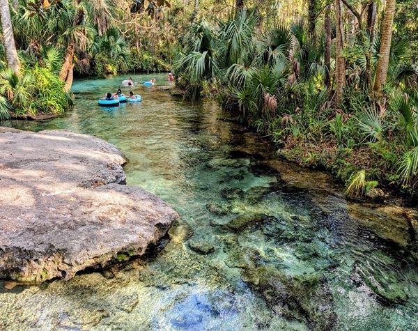 Rock Springs River Tubing & Wildlife Adventure